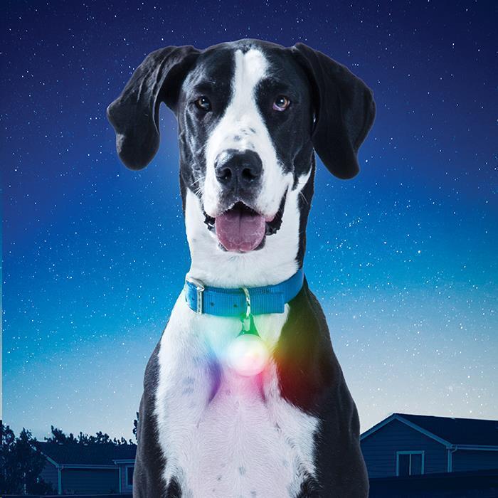 SpotLit XL Rechargeable Carabiner Light - Disc-O Select - Not Applicable 5