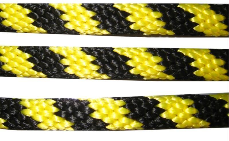 Sea Tec Regulation 50` x 1/4 Polypro  - Yellow 1