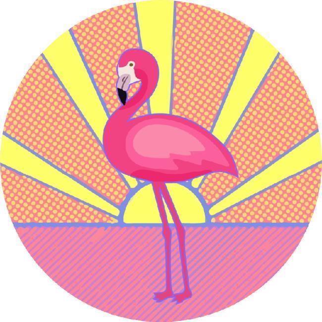 Flamingo - Not Applicable 1