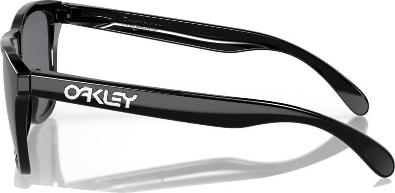 Frogskins - Polished Black w/ Grey Lens - Not Applicable 4