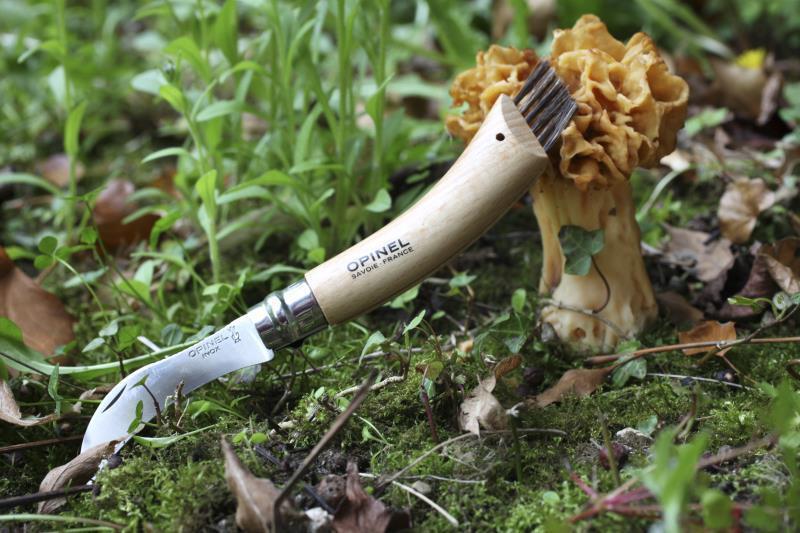 No.8 Mushroom Knife - beechwood 1