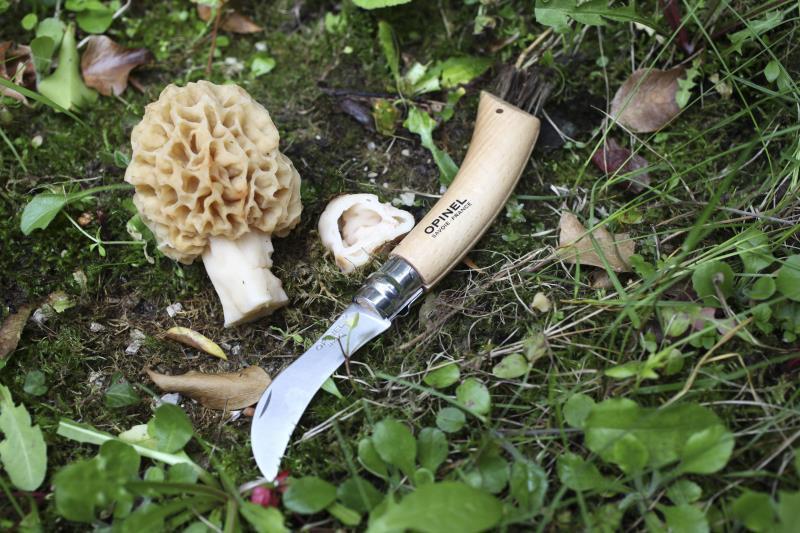 No.8 Mushroom Knife - beechwood 1