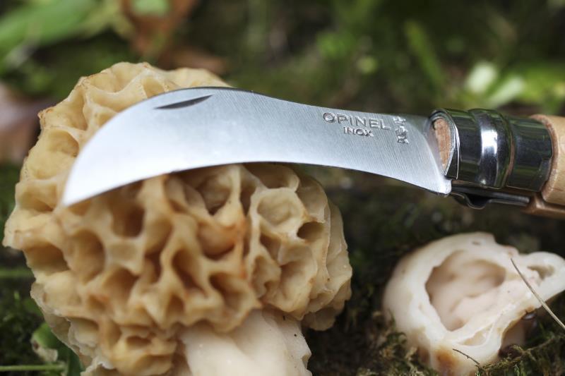 No.8 Mushroom Knife - beechwood 1