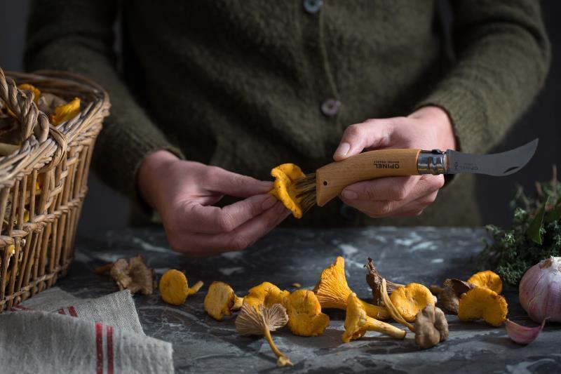 No.8 Mushroom Knife - beechwood 1