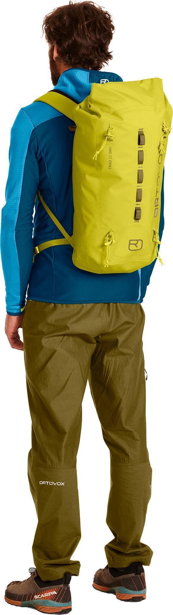 Trad 22 Dry - Dirty Daisy 2