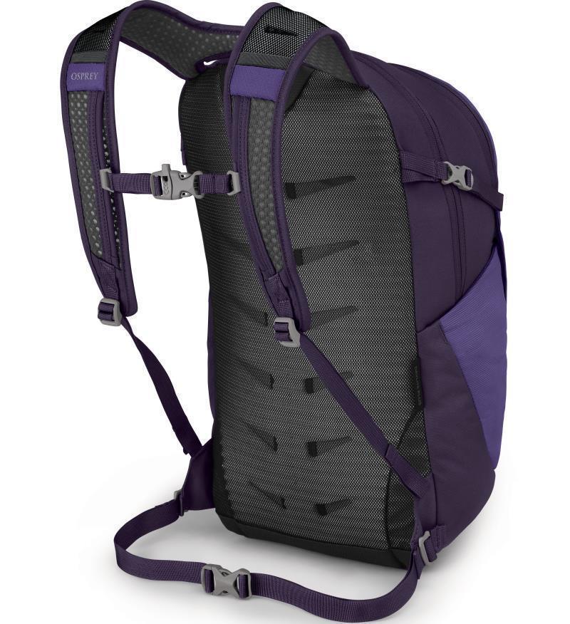 Daylite Plus - Dream Purple 2