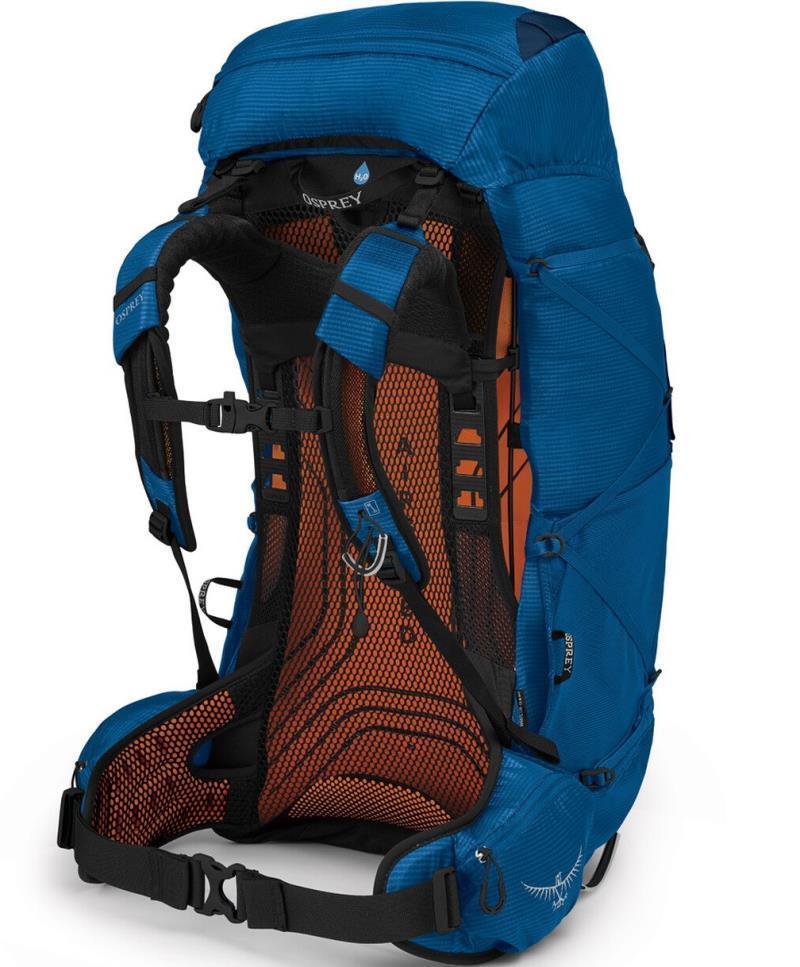 Exos 58 - Mens - Blue Ribbon 2