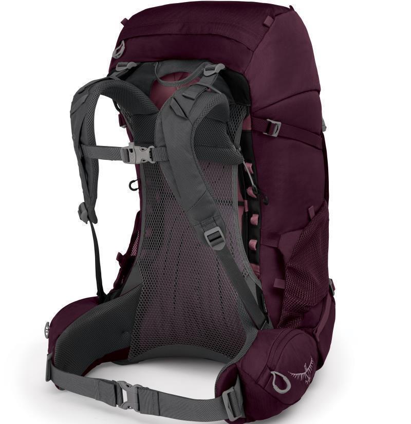 Renn 50 - Womens - Aurora Purple 2