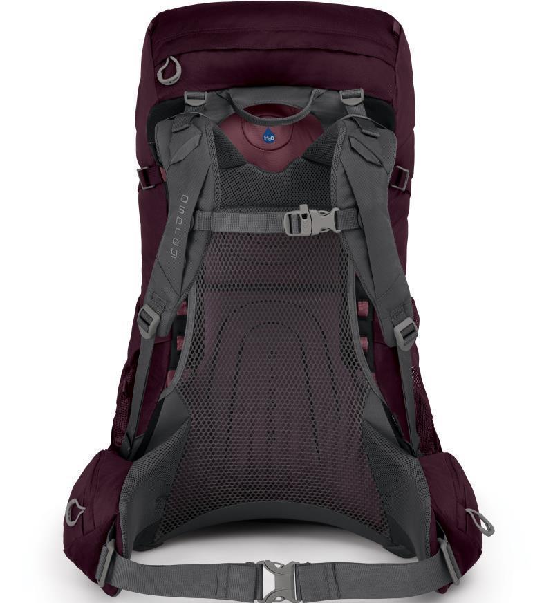 Renn 50 - Womens - Aurora Purple 4