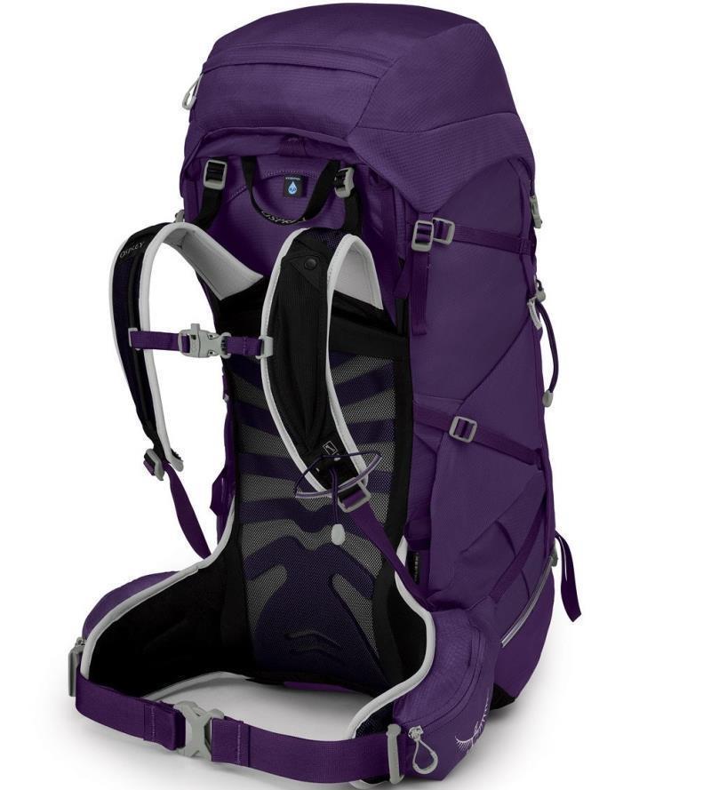 Tempest 40 - Womens - Violac Purple 2