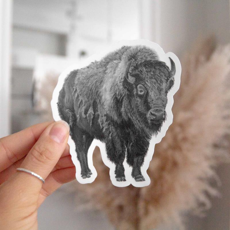 Bison Sticker - Not Applicable 2