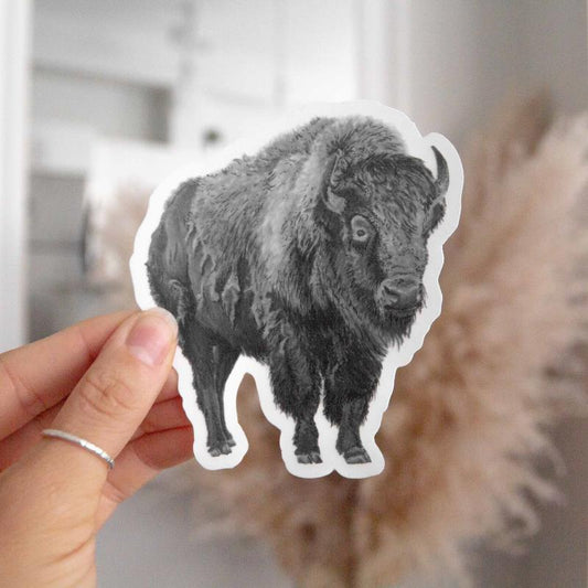 Bison Sticker - Not Applicable 2