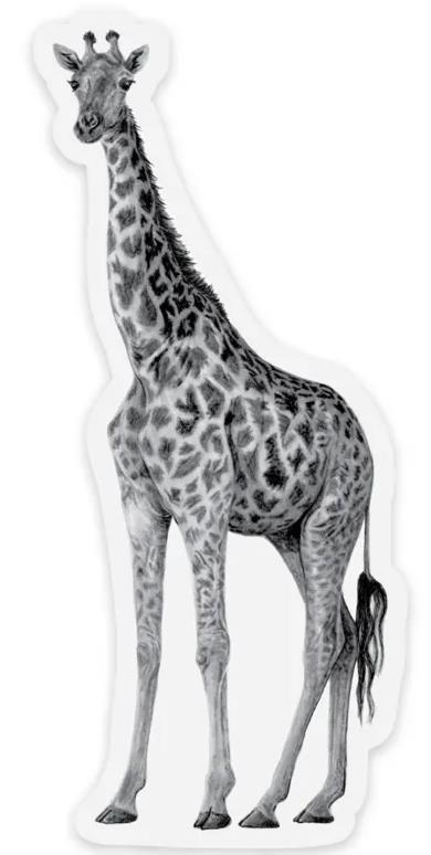 Giraffe Sticker - Not Applicable 2