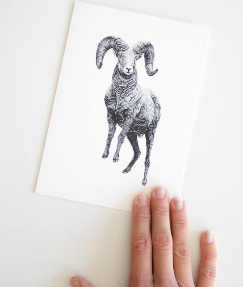Greeting Card - Ram 1