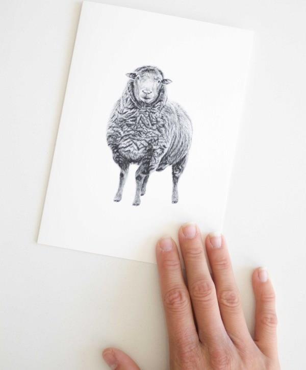 Greeting Card - Sheep 1