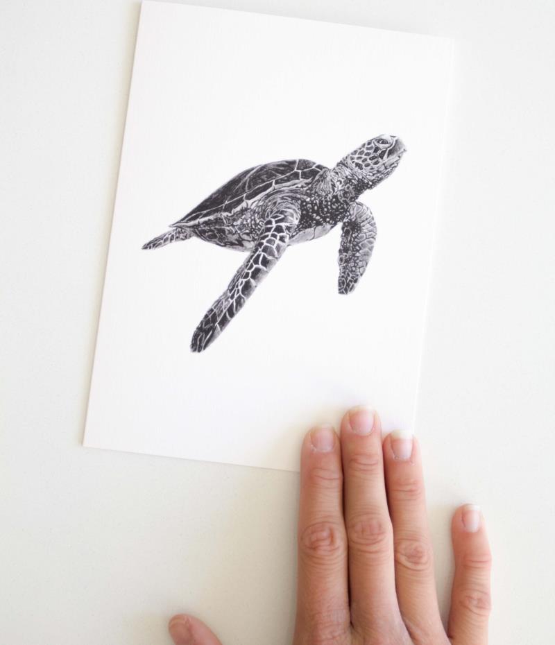 Greeting Card - Turtle 1