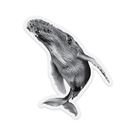 Humpback Sticker - Not Applicable 1