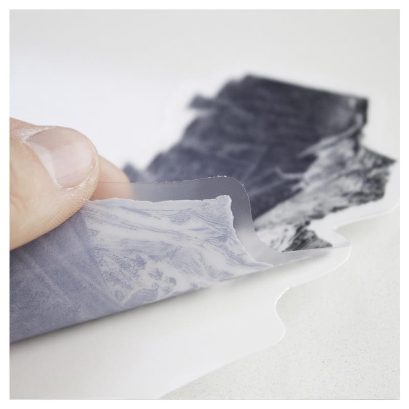 Humpback Sticker - Not Applicable 3