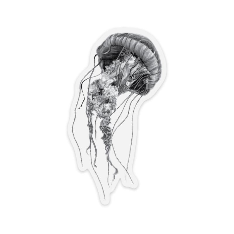 Jellyfish Sticker - Not Applicable 2