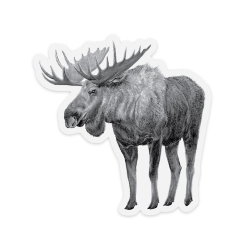 Moose Sticker - Not Applicable 2