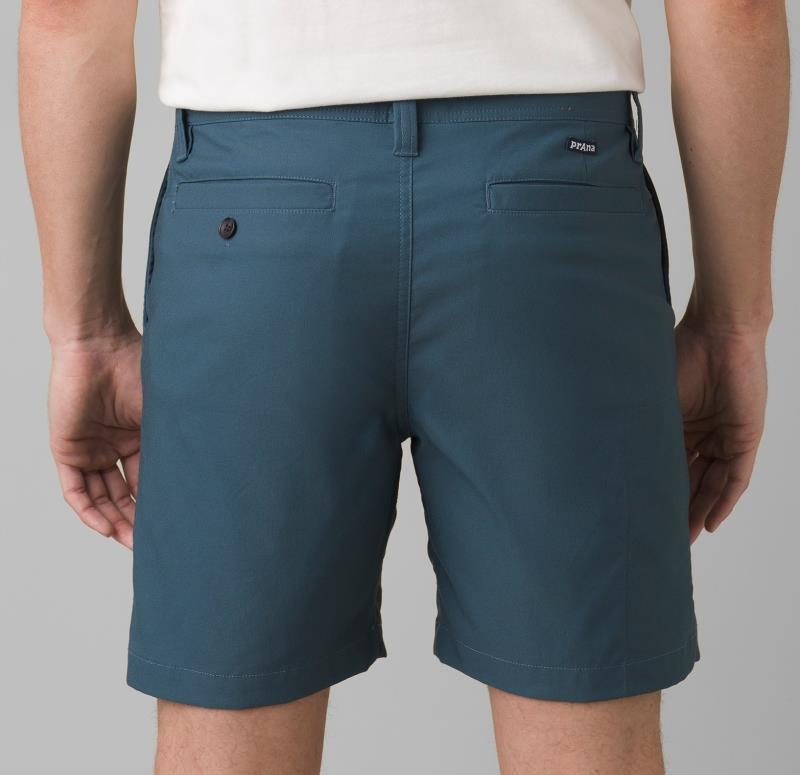 Alameda Shorts, 9" Inseam - Mens - Dark Iron 4