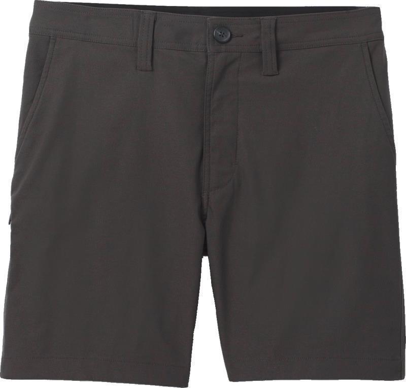 Alameda Shorts, 9" Inseam - Mens - Dark Iron 1