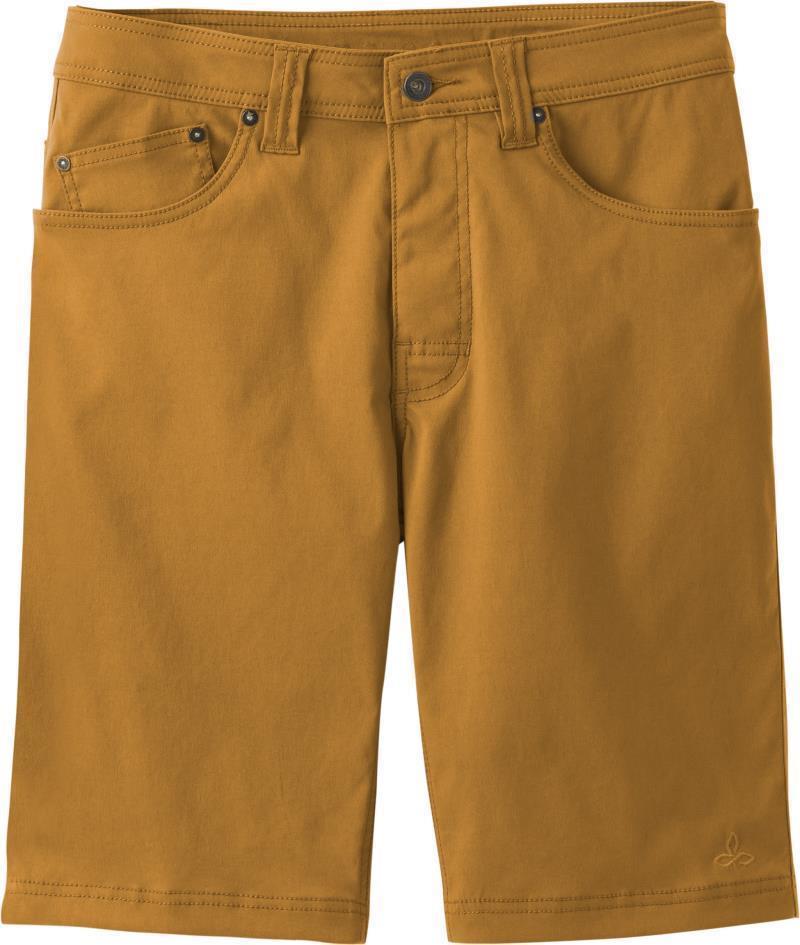 Brion Shorts, 9" Inseam - Mens - Bronzed 1