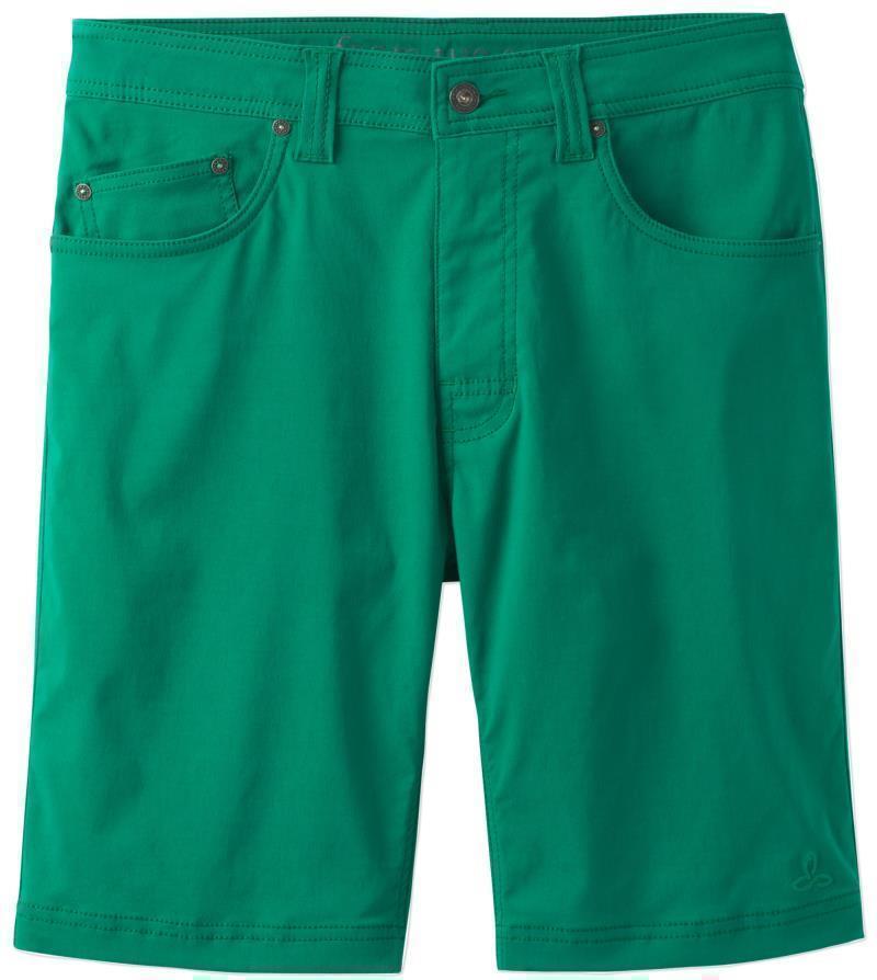 Brion Shorts, 9" Inseam - Mens - Spruce 1