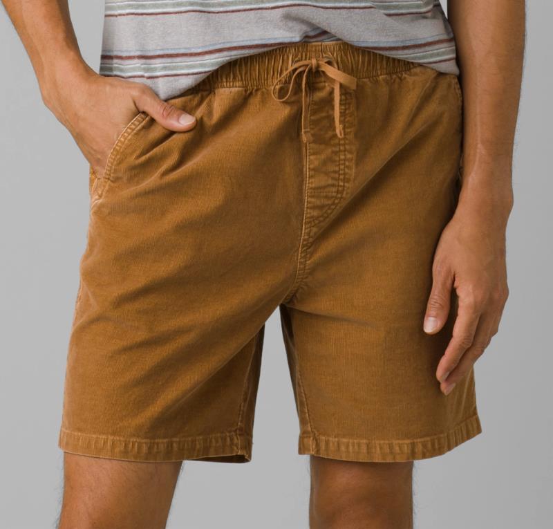 Canyon Camp Shorts, 7" Inseam - Mens - Earthbound 2