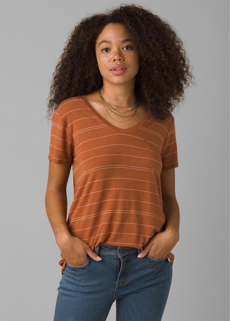 Foundation SS V-Neck - Womens - Copper Heather Stripe 2