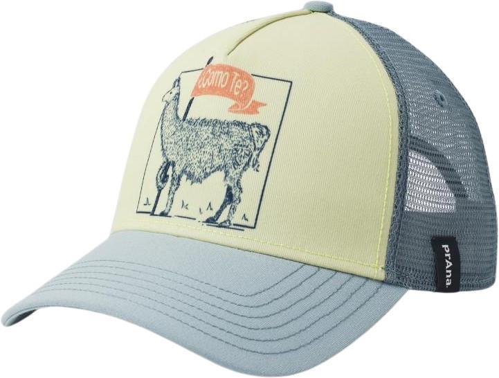 Journeyman Trucker - Waterfall Te Llama 2.0 1