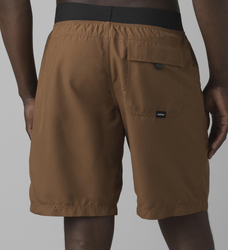 Mojo Shorts, 10" Inseam - Mens - Sepia 3