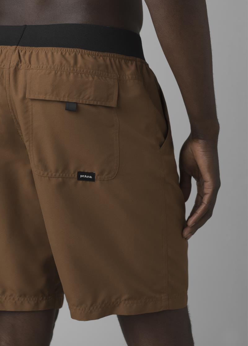 Mojo Shorts, 10" Inseam - Mens - Sepia 4