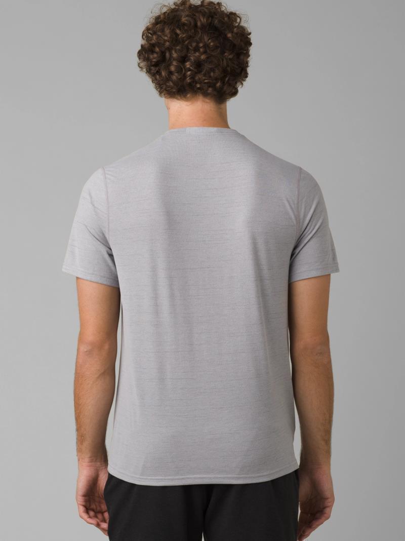 Prospect Heights Graphic SS - Mens - Grey Stripe 3