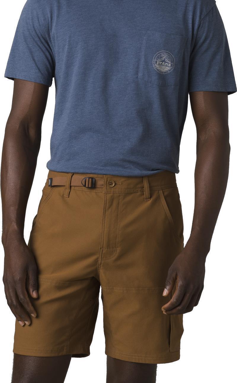Stretch Zion Shorts II, 8" Inseam - Mens - Sepia 2