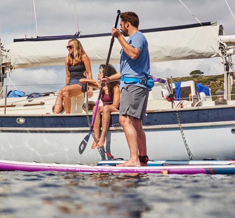 Hybrid Carbon 3pc Cam Lock Paddle - Purple - Not Applicable 6