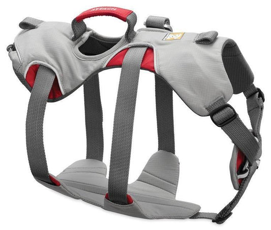 DoubleBack Harness - Cloudburst Gray 1