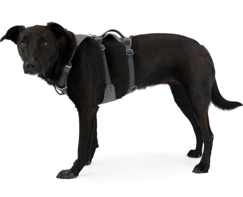 Flagline Harness - Granite Gray 7