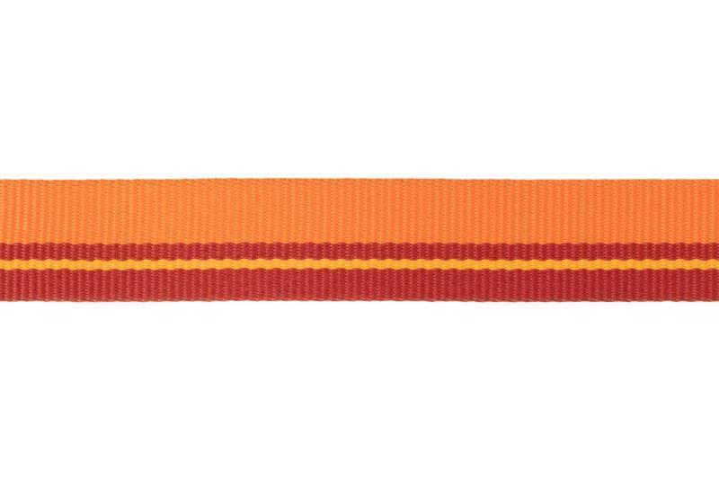 Flat Out Collar - Autumn Horizon 3