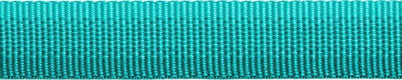 Front Range Leash - aurora teal 1