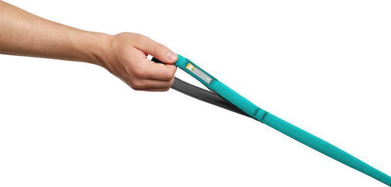 Front Range Leash - aurora teal 1