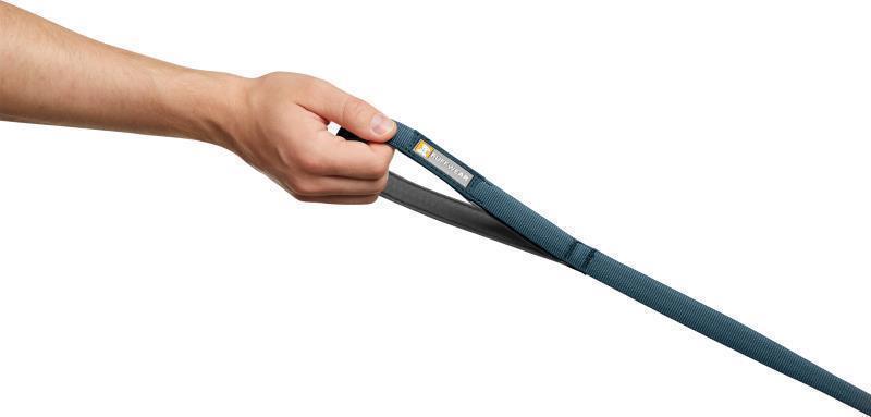 Front Range Leash - blue moon 1