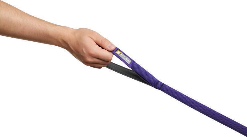 Front Range Leash - huckleberry blue 1