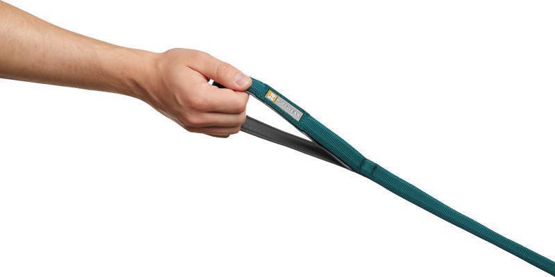 Front Range Leash - tumalo teal 1