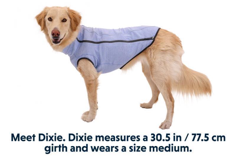 Hemp Hound Sweater - Heliotrope Purple 5