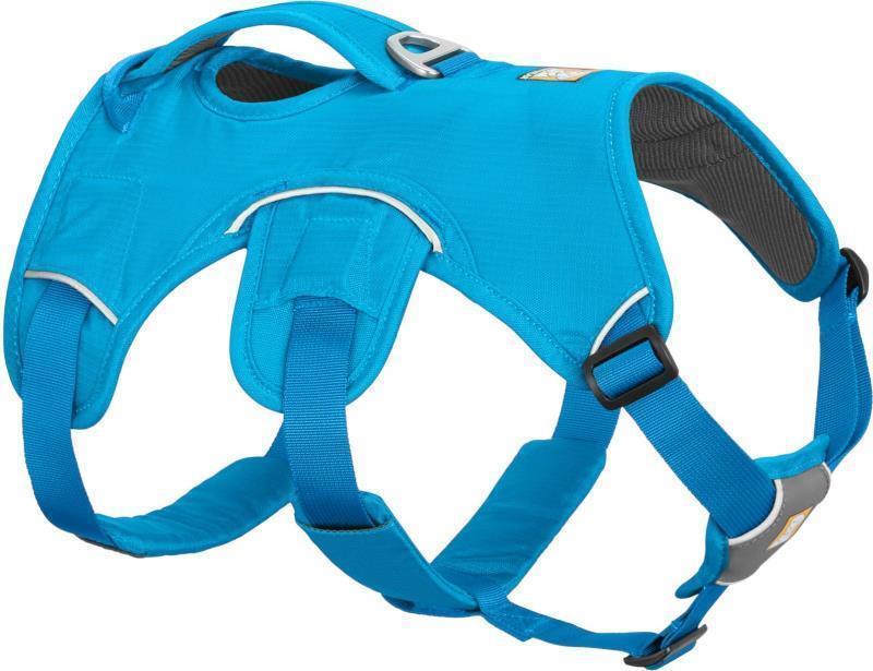 Web Master Harness - Blue Dusk 1