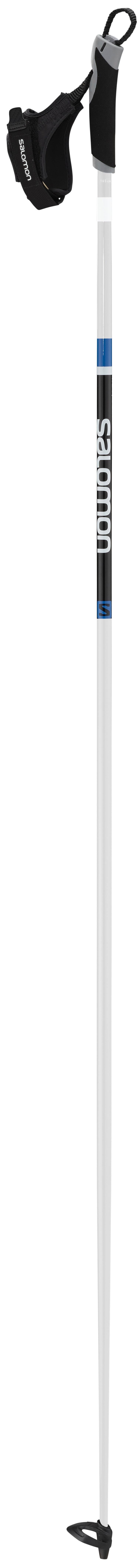 R 20 - Ski Poles - Not Applicable 1
