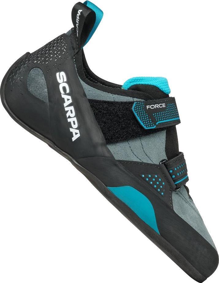 Force - Mens - Conifer / Azure 2