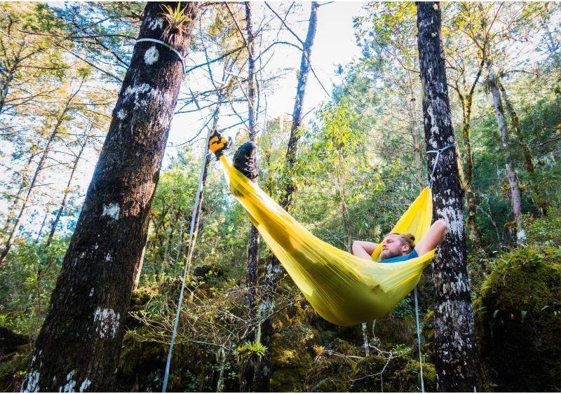 Hammock Tree Protector - Not Applicable 2