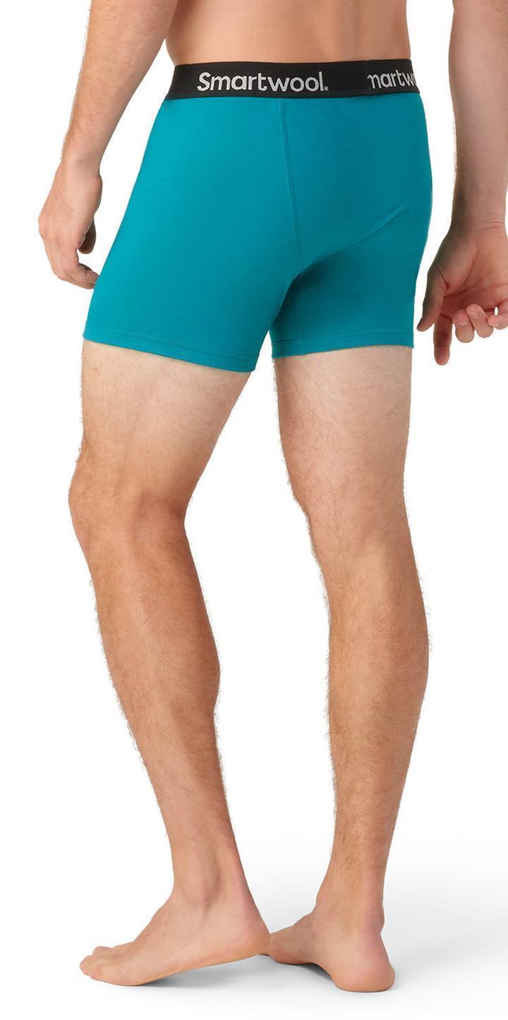 Boxer Brief - Mens - Deep Lake 3